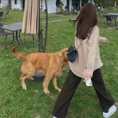 节礼之日